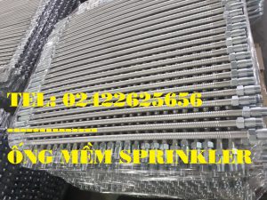 Flexible Braided Sprinkler Hose with Fittings-DJ25B700 – Certificate FM /UL